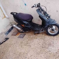 نحلة • شاصي شرط • تواير جدد