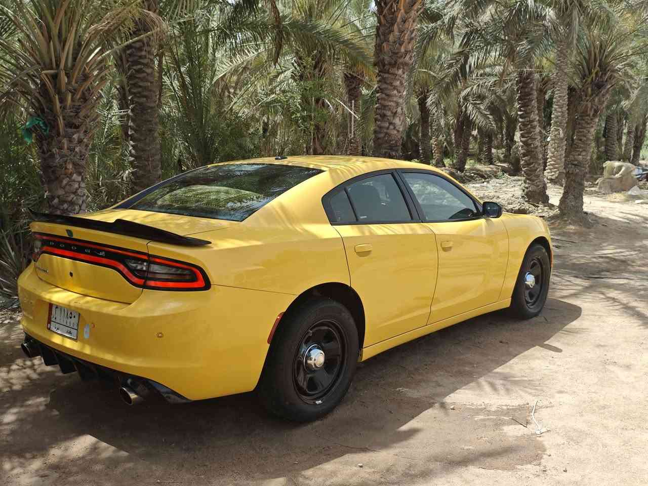 سلام عليكم. .جارجر بوليسي تو ويل  موديل2021اصل  رقم بغداد بسمي سنويه28 مصفره هيئه وغرامات تبريد ثلج تدفئه مكينه 5700  رادار كامره منضومه لد كارتون تخم تاير حداديه 80 بلميه خطها نجف عماره  اي ستفسار الاتصال علا رقم ***********.        ***********
