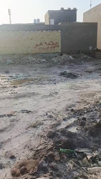 الخاجية • نص قطعة • ١٠٠م طولانية