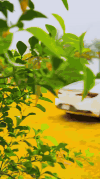 السلام عليكم النترا موديل 20 معروضه ب 165 وبيها مجال بها حق الجيه السياره  سياره جاهزه مال بيت اتصلوا بخير وتدلل *********** وماشي 96
