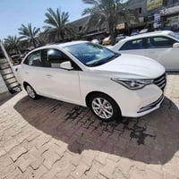 شنجان السفن • ٢٠٢٤ • رقم السليمانية