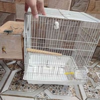 اقفاص • حي سومر • ابو جكامج