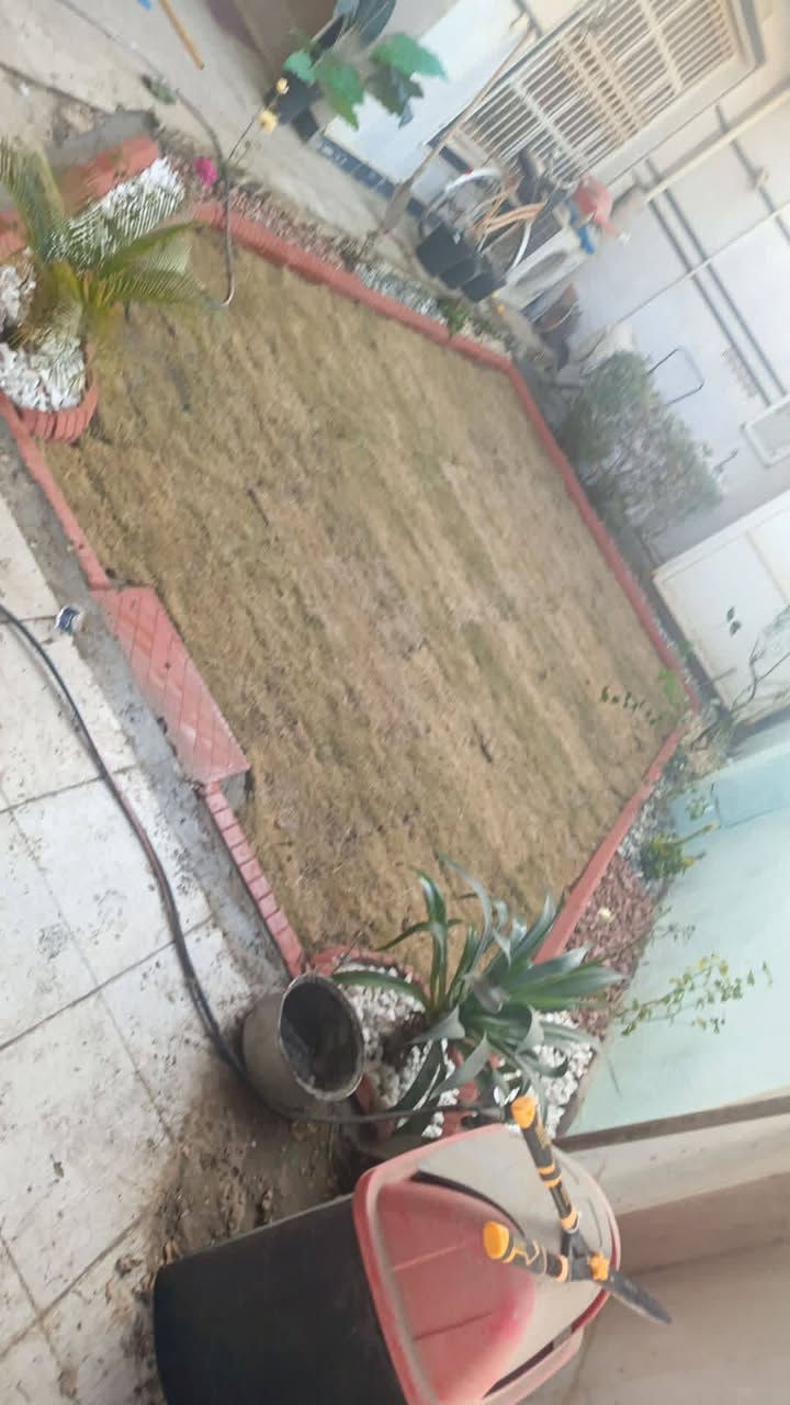 تم اليوم بتاريخ 2026/1/23 نجاز حديقه في الحله/المهندسين
للاتصال *********** او مراسله وتس اب
