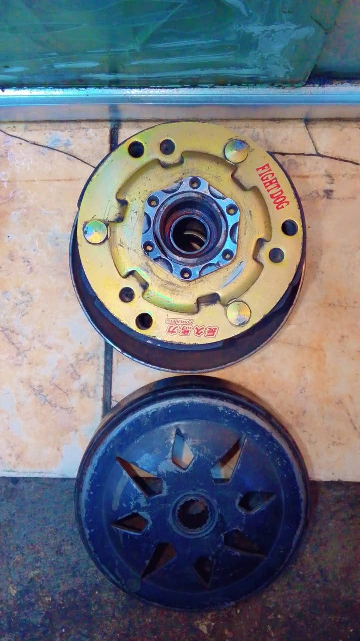 السلام عليكم شباب كلجات رياضي شرط مال حاوية واصلي وابيع عل شغل موجود ماكس وسكنس وعندي هذن كابريترات  وحده 32وحده 38  شتريد غراض تعال خاص وتدلل توصيل موجود مكاني بغداد ***********واتساب
