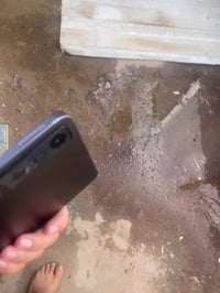 ريد ماجك نوفا • ٢٥٦ • نضيف