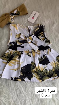 سنيوريتا • توصيل لجميع المحافظات • واسط قضاء الحي