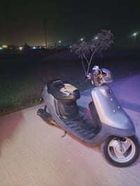 بطه • شغاله • مسيب