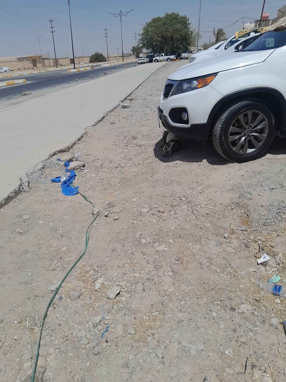 سياره سورنتو  وارد خليجي  مواصفات بصمه بوب وجنطه تبريد ثلج  ٣ قطع  محرك شرط كير جديد شديتو قبل اسبوع .سياره مرتجيه بصفحه بس اني ابيع صبغ عام هيه موكلها بيها صبغ  بس اني ابيع عام 
السعر المطلوب ١١٠ وبيها مجال قليل الاتصال ***********
