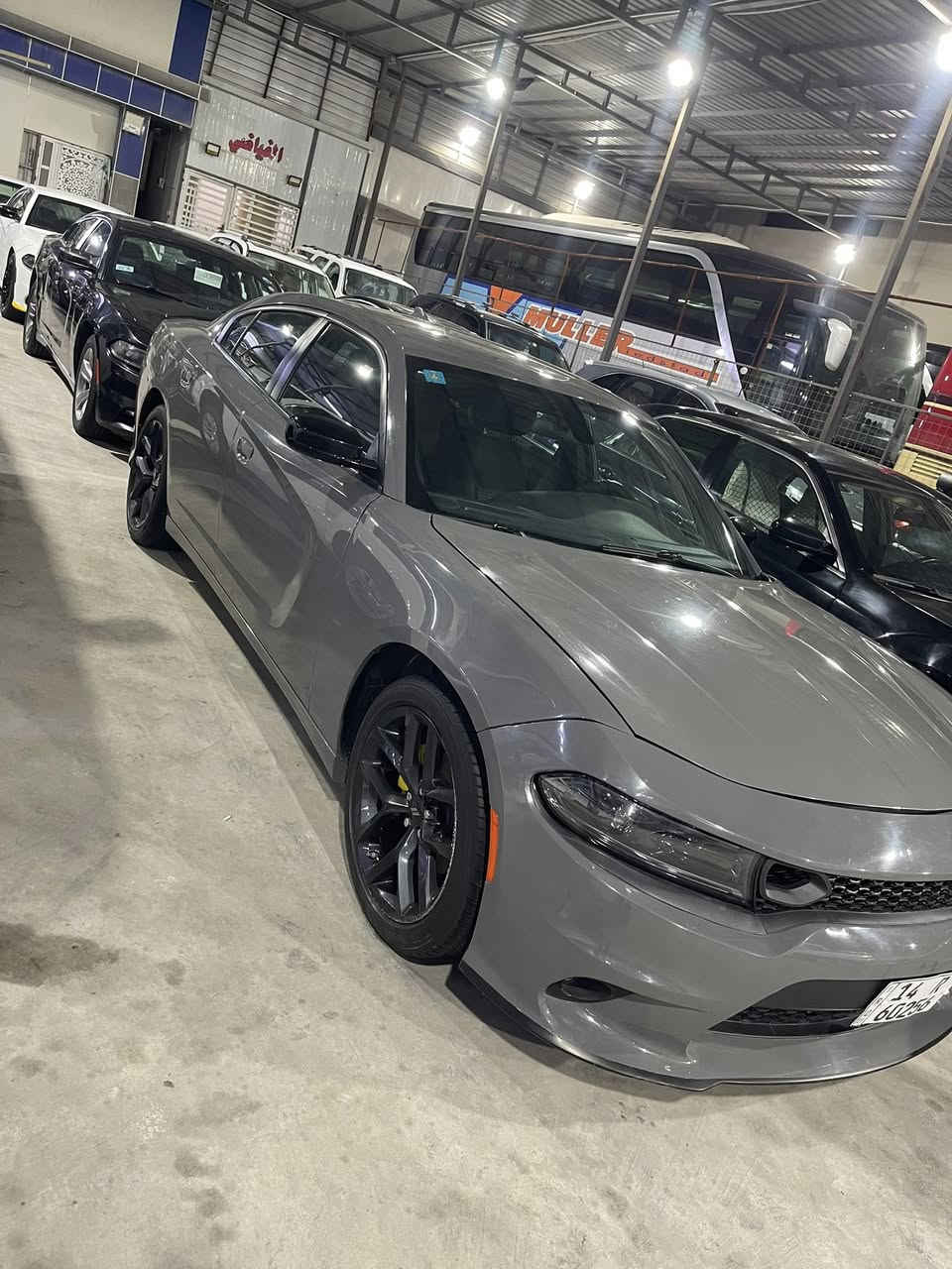 سلام عليكم للبيع جارجر مديل 23سياره حادثه جاملغ وبنيد رقم بصره بسمي محرك 3600 سياره جديده ماشيه 44 سعره 240 اي ستفسار ع هاذ رقم ***********
