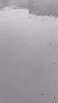 السلام عليكم مقاول اصطح اشتايكر نعمل الى جميع المحافظات
تنظيف زفت لايلون تراب شتايكر ماستك تصعيد تطبيك نعمل الى جميع المحافظات شرط المواد نوعيه الزينه بادارة مصطفى محمد  
      ***********
