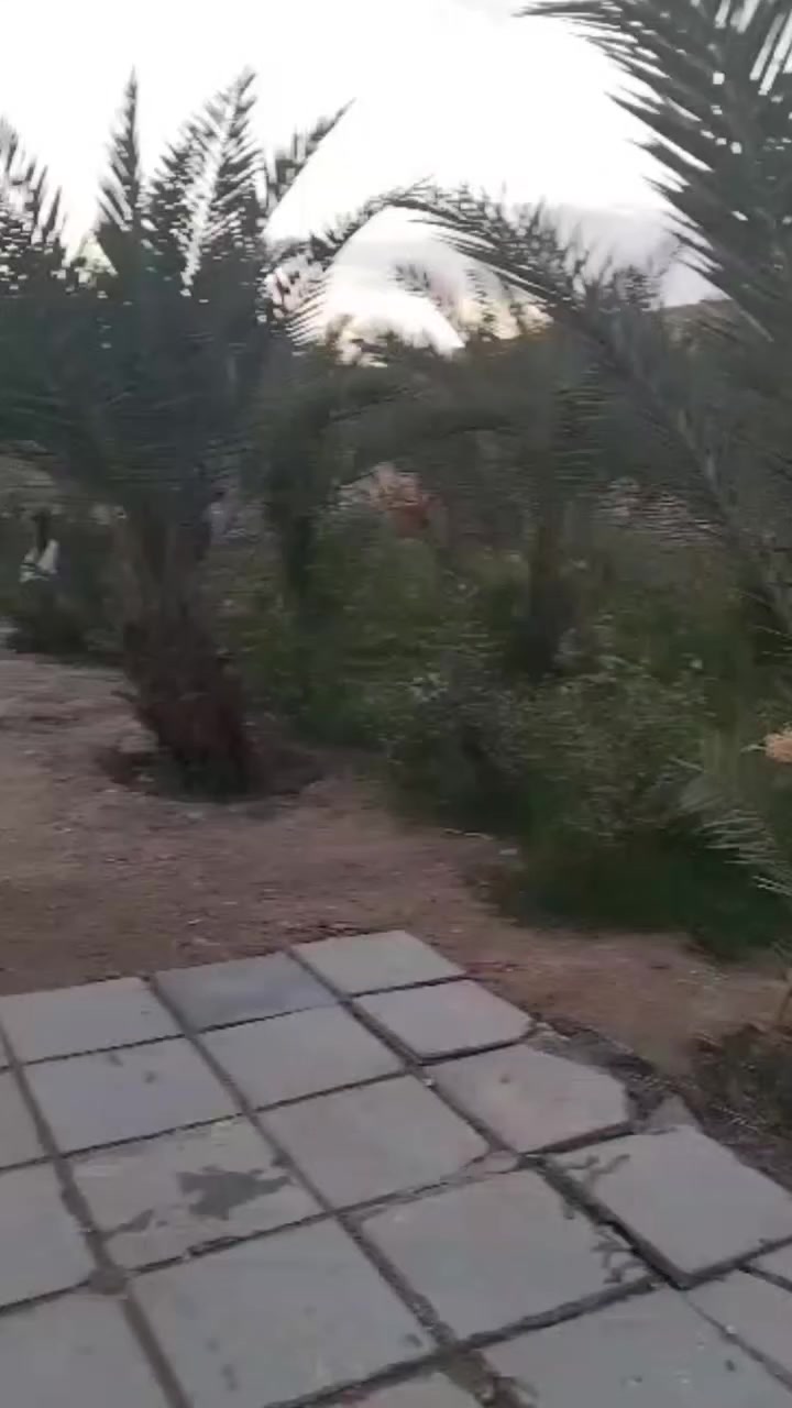 بيت مرتب  وبستان للبيع
المساحه 1650 متر 
العنوان الصخيين حي جامعه ذي قار 

البيت طابق ونص اقل ما يقال عنه تحفه فنيه وشغل كله مرتب ودرجه اولى شغل البيت مال جناي احس تصاميم واحسن شغل 
شغل،البيت كله 1/1 

1️⃣ الطابق الارضي
يتكون من استقبال وصاله 
مطبخ وصحيات داخليه وغرف نوم عدد 2 
وايضا مجموعه صحيات خارجيه شرقي وغربي مع ضلع مغاسل مرتب 

2️⃣ الطابق الثاني 
غرفتين اكبار وصاله 

وايضا بستان كل شي مزروع بي 
موقع البيت خامس بيت عن الشارع السايدين حتى مجاري مربوطه مع الشارع 

السعر خاص


**إذا كنت صاحب هذا الإعلان وتريد حذفه لأي سبب، رجاءا أرسل رسالة إلى الدعم الفني**