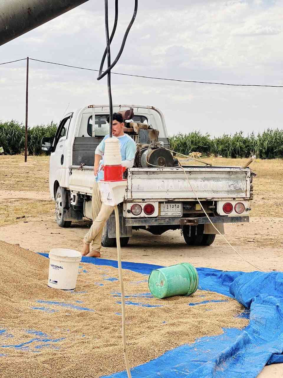 السلام عليكم يوجد برينه تصعيد حب الطن 6متواجدين من العلم الفتحه ناعمه دور عه مدار 24اتصل ***********
