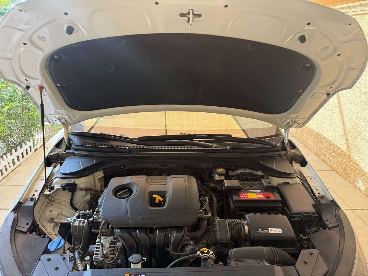 السلام عليكم . هونداي النترا 2019 وارد خليجي المواصفات بصمة تشغيل وابواب فتحة سلايت كشنات جلد حساس امامي وخلفي اصلي قطعتين تبريد مري شفط تحكمات ستيرن شاشة وكامرة ولد امامي ويل كب كروم وباقي المواصفات المعروفة ماشية 69 رقم بغداد الجديد بسمنا بيهة بلباب الخلفي صبغ الحد الكنر وبية شوية بارد كد شير بلجهة الثانية محرك 2000 ابلادي ولكير هم مامفتوح مابيهة كل نقص الحمدلله السعر 148 ورقة مكاني بغداد الكرخ حي العامل قرب دائرة الكهرباء *********** بغداد, العراق
