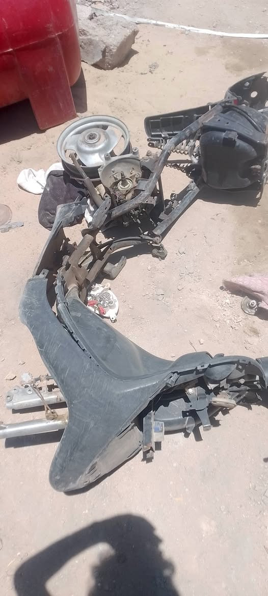 السلام عليكم اخوتي غراض تفصيخ بيجي دولفين منغولي فحل بطه منغولي نثيه للبيع تريد كلهن تريد ابيعك قطع كله الاصلي شرط الشراي يجي خاص رقمي للتواصل ***********
