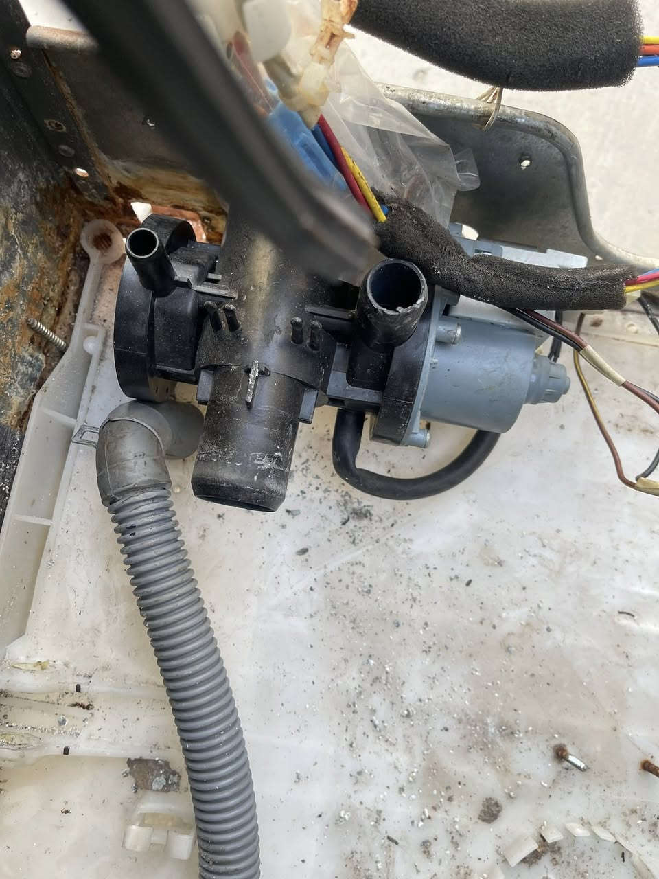 متوفرة ادوات غسالة كاملة تفصيخ حجم 8 كيلو باسعار مناسبة مكان حي الاعلام


**إذا كنت صاحب هذا الإعلان وتريد حذفه لأي سبب، رجاءا أرسل رسالة إلى الدعم الفني**