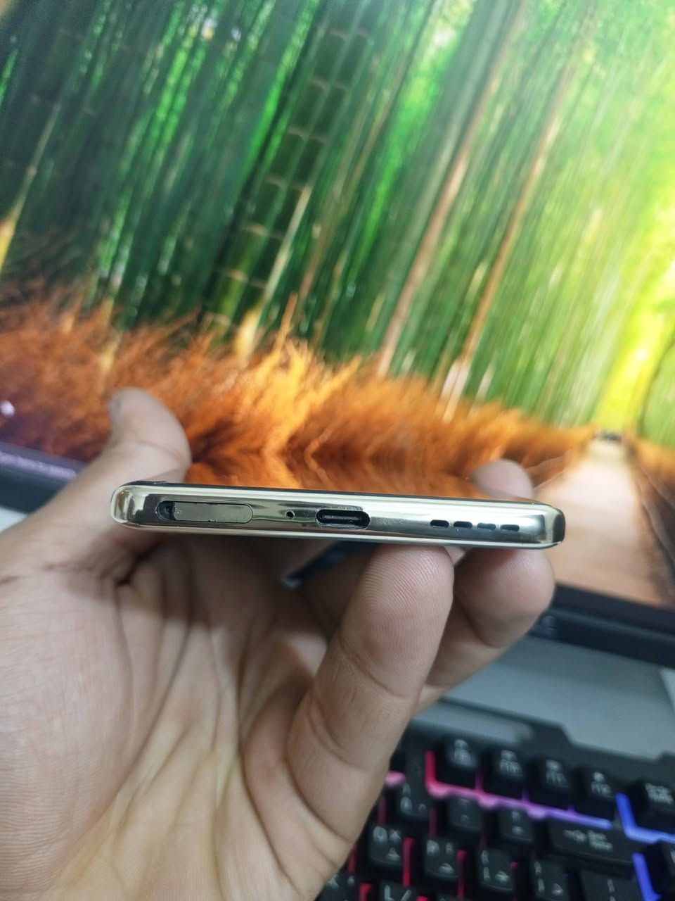 السلام عليكم ورحمة الله وبركاته 
جهاز Infinix zero 30 مراوس فقط 
ذاكرة 256 
مميزات بطارية ضخمة 
شاشة منحنية تصوير يخبل 
جهاز كلة شغال بي فطرين بشاشة 
خفيفات مماثرات مكاني بغداد
مراوس حسب القناعة 
مكاني بغداد


**إذا كنت صاحب هذا الإعلان وتريد حذفه لأي سبب، رجاءا أرسل رسالة إلى الدعم الفني**