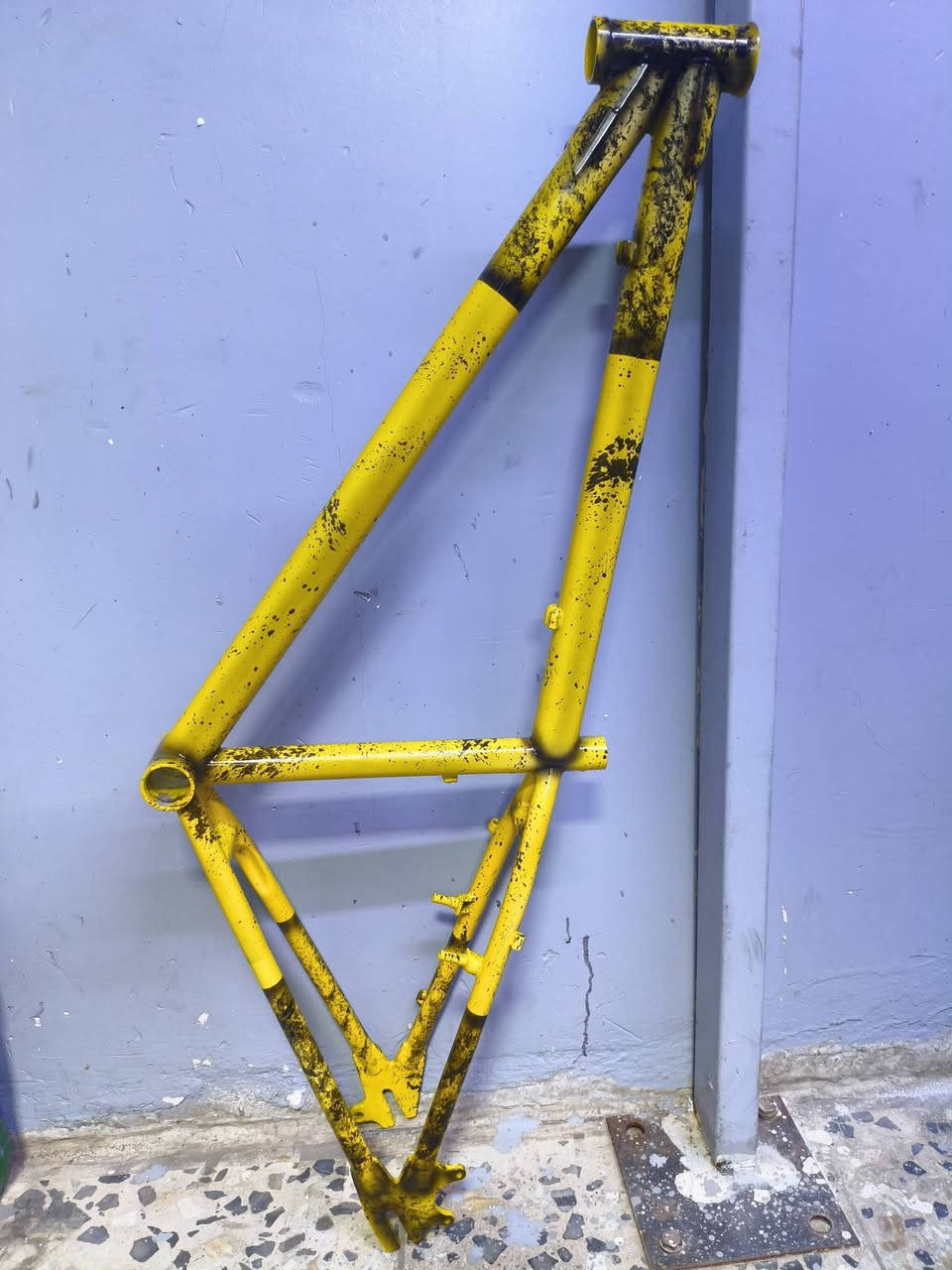 سلام عليكم فريم للبيع ناصي
تواصل هنا وانساب فقط***********
