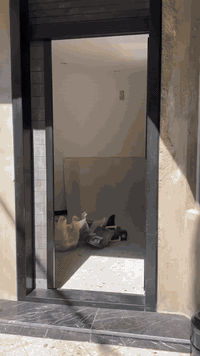 سعر المتر 30 الف فقط 
انتهز الفرصه وسوي الديكور الي تتمنا 
عروض خاصه 

بوكس كامل
مختوم ومصلح 
 كهربائيات او اناره 
طلس تصليح او صبغ
تستلم جاهز 
شرط العمل ضمان تستلم استلام مهندس 
كلشي ضمان الاناره ضمان الصبغ ضمان العمل ضمان 
سعر المتر 30 الف فقط   
سعر المتر الفلات 35 الف فقط يشمل التصليح الاناره ولصبغ يعني هم تستلم جاهز
***********
