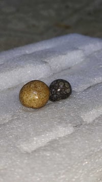 خامات • للبيع • متفرقات