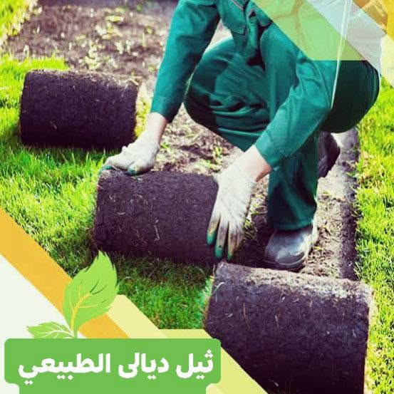 مميزون بما نقدم🍃🌱
🍁يتوفر لدينا كافة انواع الثيل الطبيعي . 
🍁التوصيل لكافة المحافظات 
🍁يتوفر لدينا الثيل:
الثيل الهندي - الثيل الاسباني - الثيل الايطالي - الثيل الفرنسي 🔰

🍁(مستعدون لتجهيز الحدائق المنزلية و الملاعب الرياضية و المنتزهات و الدوائر الحكومية بكادر مختص مميز يجيك لباب بيتك 
   
#بـــأسعار #تنافسية 
🍁للحجز والاستفسار عن الاسعار الاتصال بنا على الرقم
 ‏‪/***********‬‏ ***********
