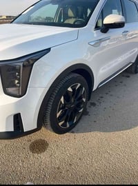 ٢٠٢٤ • ٦ سلندر • ٧ راكب