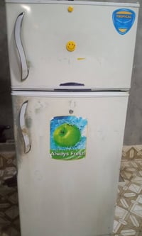 كونكورد • تجميد فول • بابل البكرلي