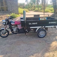 ستوته • ٢٠١٩ • وراق اصولي