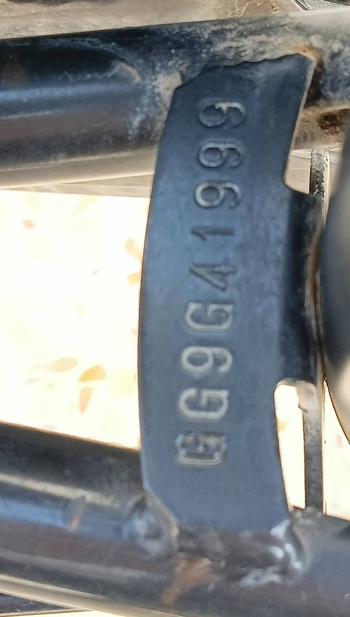 السلام عليكم  باسكل سانتوز موديل 2019للبيع السعر 85وبي مجال


**إذا كنت صاحب هذا الإعلان وتريد حذفه لأي سبب، رجاءا أرسل رسالة إلى الدعم الفني**