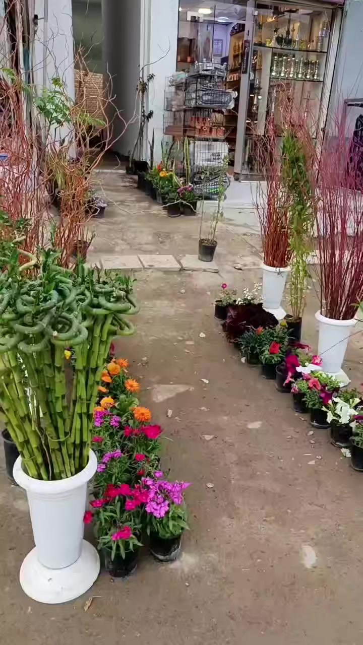 اللهم صل على محمد وال محمد عنوان المشتل سبع البور شارع السوداني مجاور الحذاء الذهبي اهلا وسهلا بيكم 🌹🌹


**إذا كنت صاحب هذا الإعلان وتريد حذفه لأي سبب، رجاءا أرسل رسالة إلى الدعم الفني**