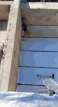 عمل مادة الايزوكام ال 1010
البيع جمله ومفرد تتوفر كميات كبيره 
يوجد توصيل لكافة المحافظات 
تتوفر ايضا. ال 321 الوكاله 
و555 
وال 553
والالوان 
*********** واتساب
