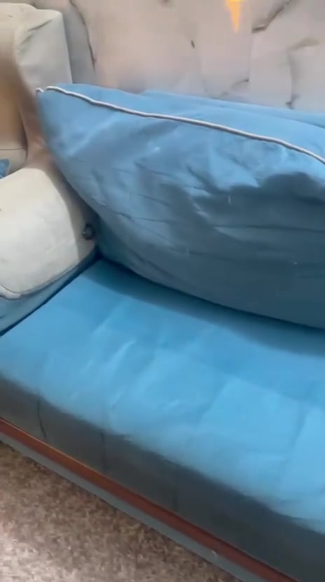 تخم قنفات نظيف للبيع بغداد ***********
