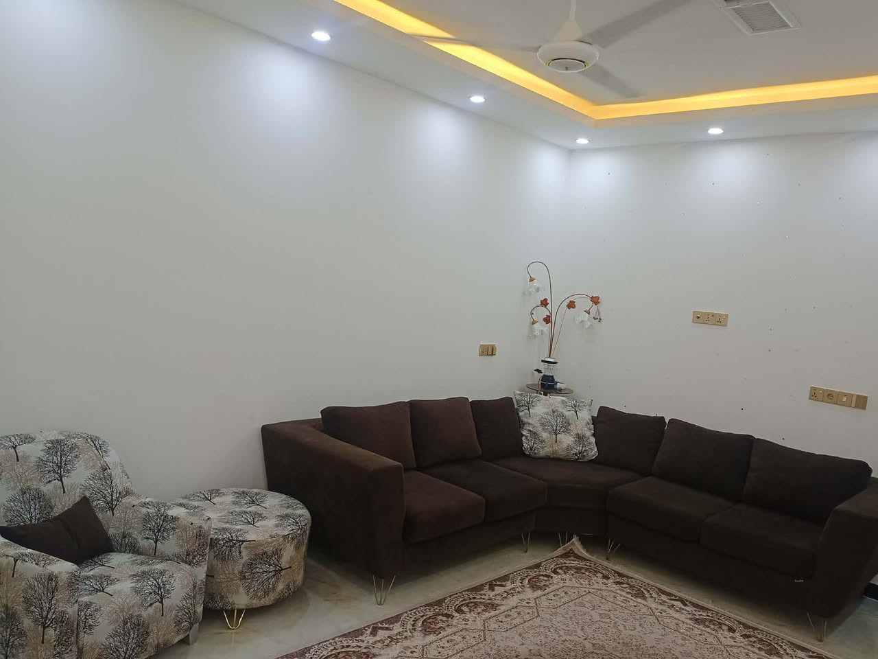 فرۆشتنی خیرا کەرکوک سالیک نابیت کردراوە لۆکە ١٨ وەرەقەی پیدراوە  ئەیداتەوە بە٥٥٠ معامەلە


**إذا كنت صاحب هذا الإعلان وتريد حذفه لأي سبب، رجاءا أرسل رسالة إلى الدعم الفني**