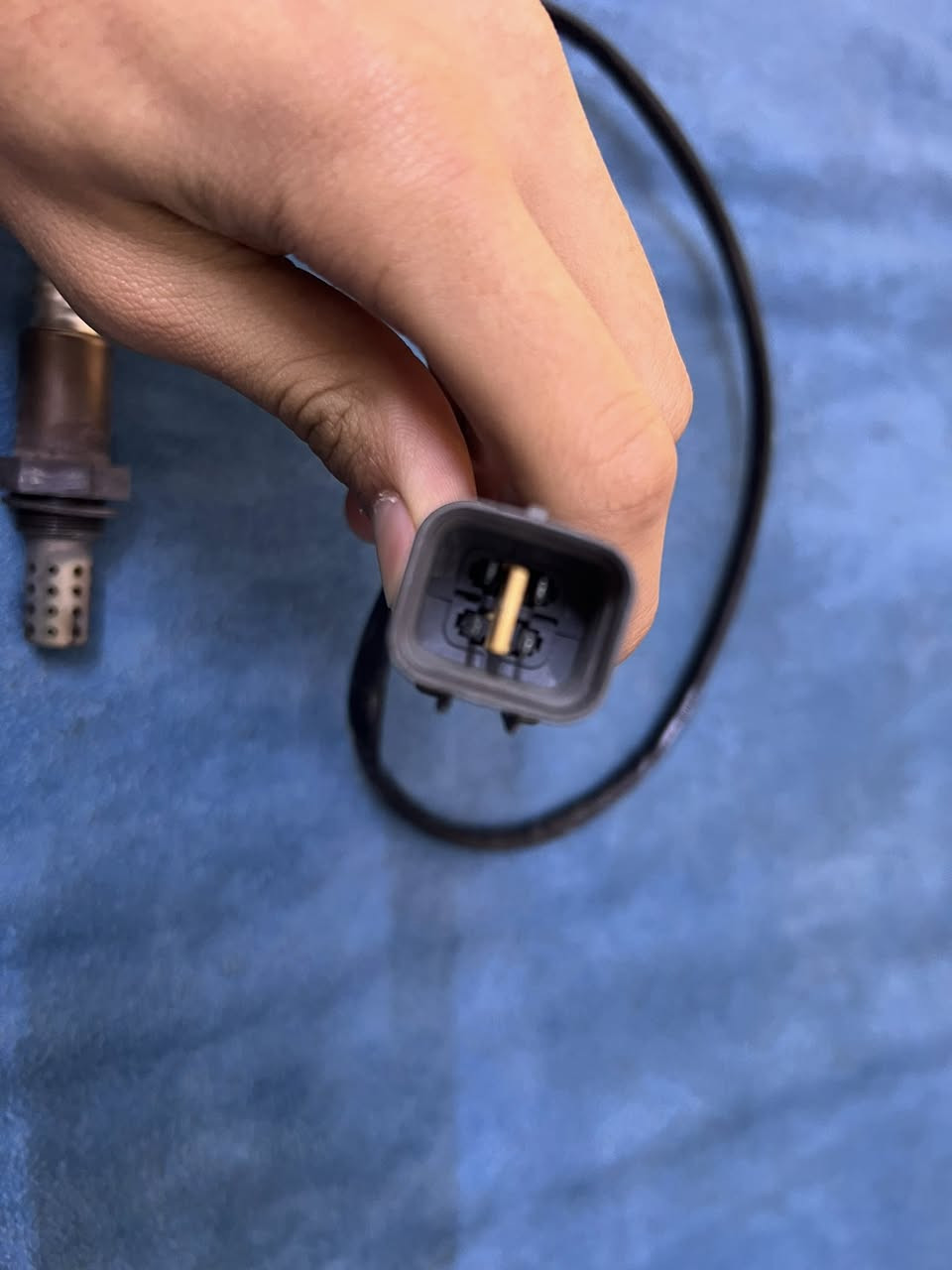 السلام عليكم
نوزلات شغالات مال حاويه يرهم 2008الى 2020 اقتصادي شغال على 3500و3800 اكرر مال حاويه يعني بعده اصلاً ما مشدود 

مع حساس صالانصه ايضاً كصه مال حاويه لا مشدودات ولا ملعوب بيهن كلهن شغالات 

ردت اشدهن بس طلعاً مالاتي مابيهن اي شي ومابدلتهن تاركهن واريد أبيعهن ومعروفه اسعارهن 120 وبيهن مجال حك الجيه عنواني بغداد الشرطه الخامسه نهايته منطقه الدوانم

*********** موجود واتساب واتصال فقط 🤍
