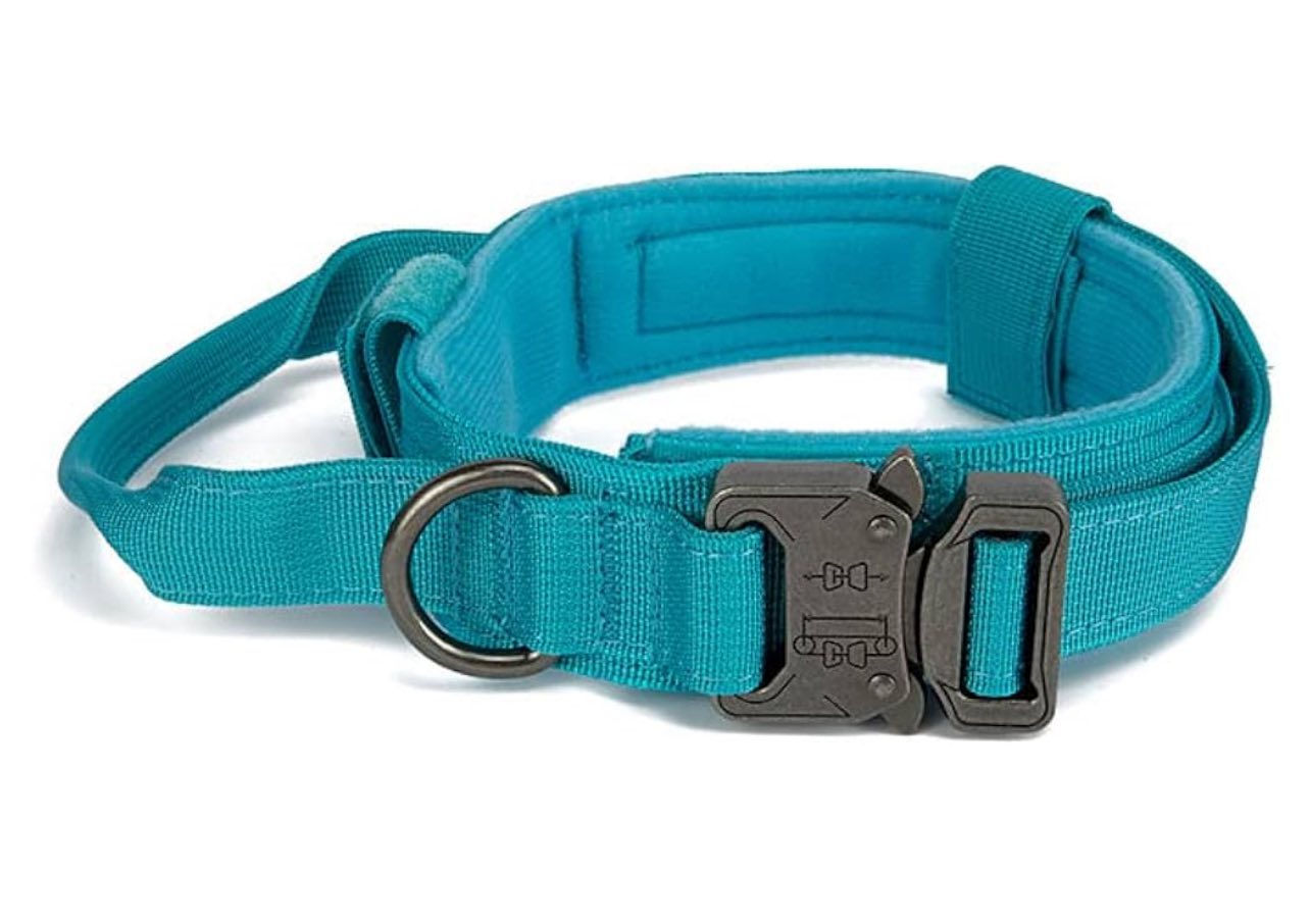 طوق كلاب قياس ميديم


**إذا كنت صاحب هذا الإعلان وتريد حذفه لأي سبب، رجاءا أرسل رسالة إلى الدعم الفني**