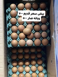 تخفيضات تخفيضات تخفيضات  حبيبية خلف مطعم وليد قريب على سيطره فرع من  ا...