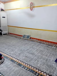 سجاد • ديكور • سجادة منزلية