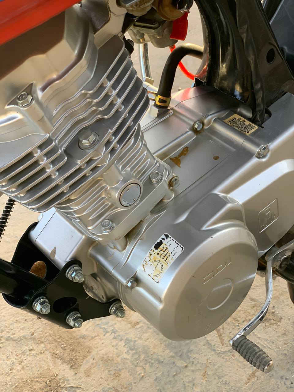 كلك كلك للبيع كله 25 شلامجه اصلي ترهم مراوس بنضيف اتصال ع رقم *********** لحد يعامل بس شراي يتفضل خاص
