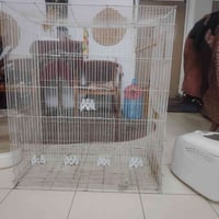 قفص كبير • ١٥ عجانه