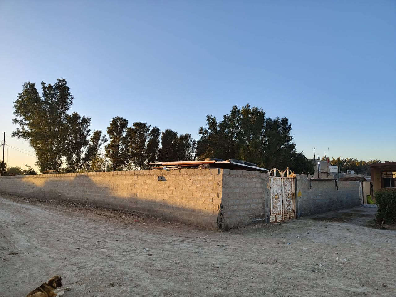 للبيع بيتين ضمن أرض واحدة
📍 المساحة الكلية: 2 دونم
🏠 البيت الأول (عكَادة – بناء 2015)
5 غرف نوم
مطبخ
هول كبير
كليدور
داخل الحوش بستان مساحته دونم مزروع:
🌴 نخل – 🍎 رمان – 🌿 تين
🏠 البيت الثاني (سندويج)
غرفة نوم
مطبخ
هول
مضيف خارجي
حمامات
حديقة مكاني واسط شيخ سعد قرية الشوهانيه 
📞 للتواصل:***********
