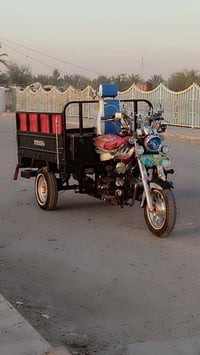 ستوته • مديل ١٩ • رقم ابيض