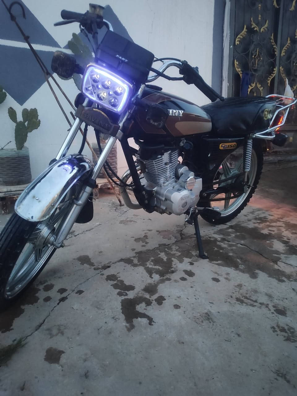 للبيع تفاصيل بل خاص


**إذا كنت صاحب هذا الإعلان وتريد حذفه لأي سبب، رجاءا أرسل رسالة إلى الدعم الفني**