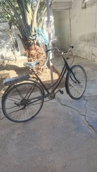 بايسكل • للبيع • سعر مناسب