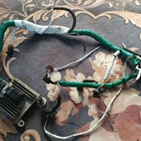 ضفيره • عقل • فوتون فور واي