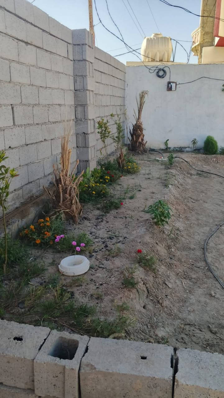 يوجد قطعه ارض لل البيع المساحه 250 متر طابو زراعي سند 25 الموقع شارع المضيف قرب مجمع الرحاب
***********
