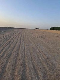 ١٢ دونم • بيت مسلح • شارع الرفيع