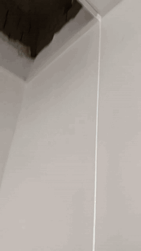 سلام عليكم ورحمه الله وبركاته اخواني
خلفه سقف ثانوي و جميع تغليف و ديكورات 
مكاني بغداد مدينة الصدر 
***********
