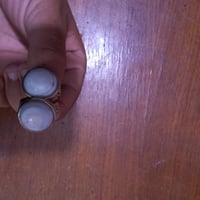 سليماني • عطف اخوات