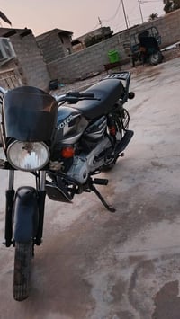 بوكسر هندي • كفالة سنوية • لوحات واسط