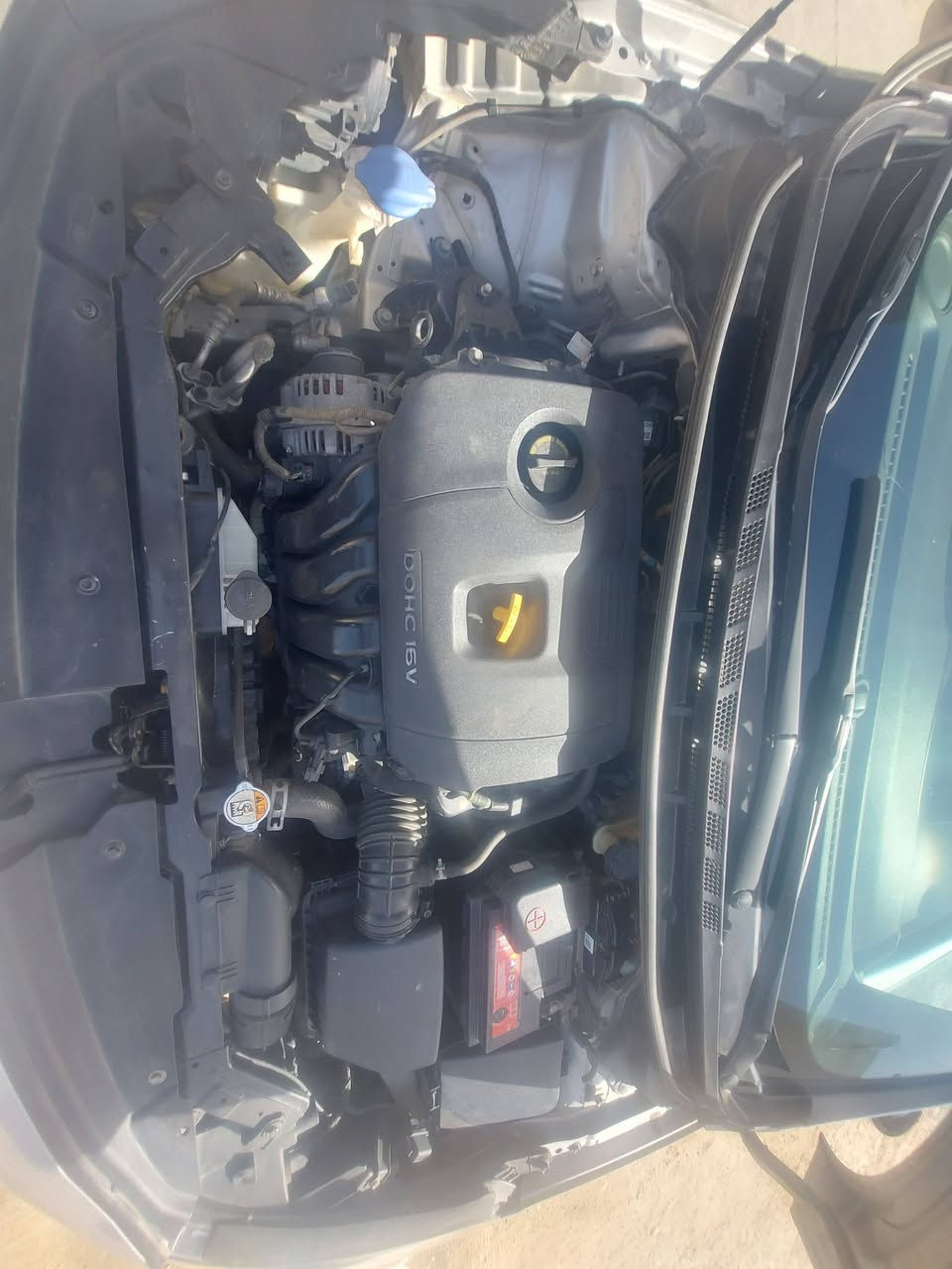 ياالله يارزاق
سلام عليكم إخوتي فورتي موديل 17.. حادث فقط بس بنيد صبغ دعاميه صبغ الماميه والباقي سليم 
سياره بسمي رقم جديد أربيل تحويل مباشر(السعر133 وبي مجال سياره متعوب عليه مال جناي *********** مكان حله شارع 80)
