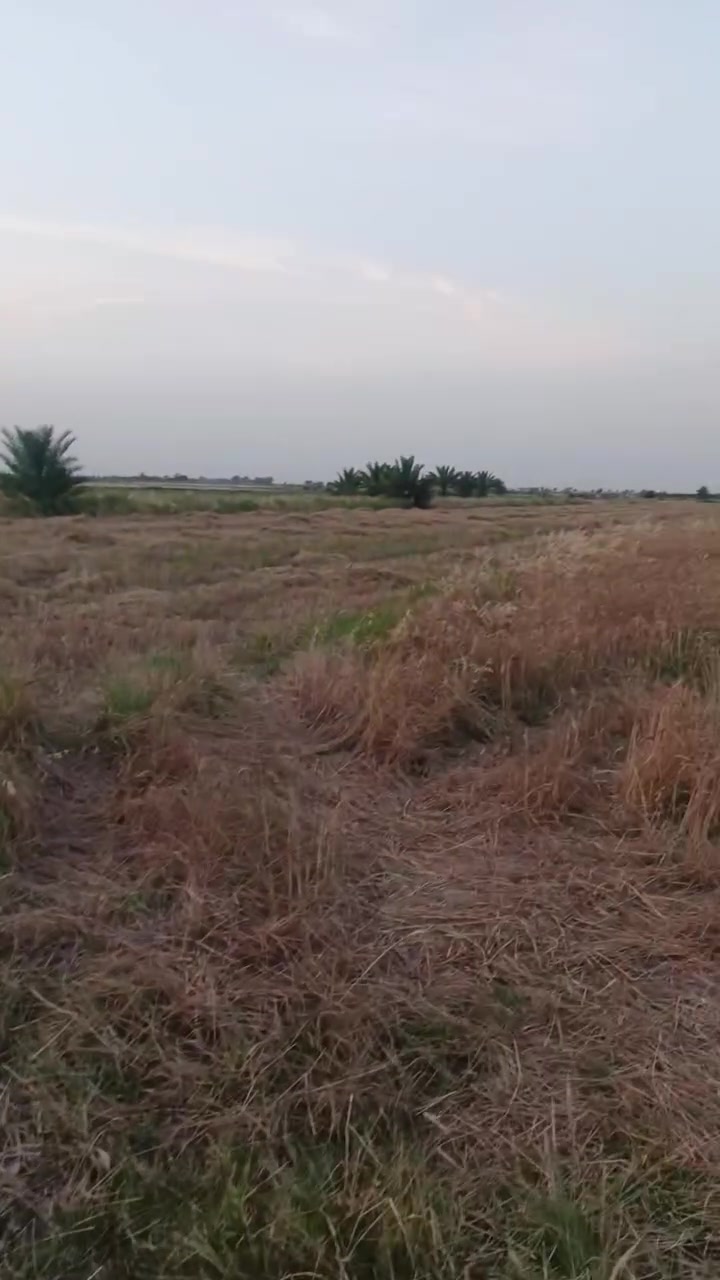 كاع ٣ ونص دونم للبيع عقد على ١١٧ الواجه ٣٠ م النزال ٢٠٠م  العنوان شويفي بيت ريس  تبعد عن شارع بغداد كوت كيلو  عن تبليط سد ٥٠متر  تفاصيل بالتصوير  السعر ٦٠ مليون وبيهة مجال كلهن
الاستفسار *********** احمد الشمري

